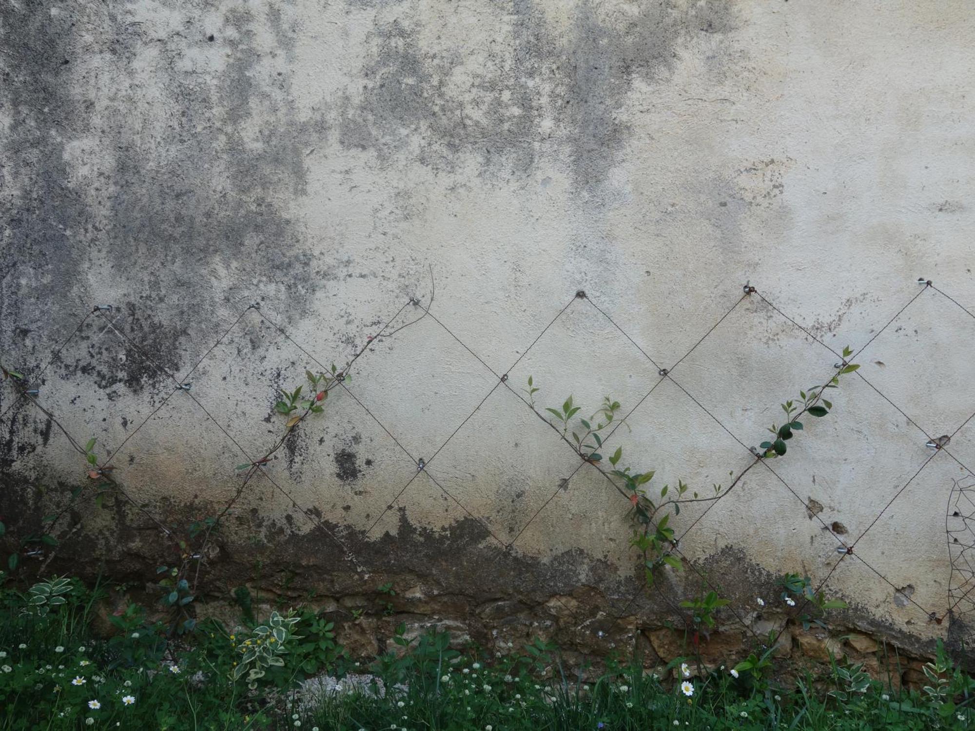 Guesthouse Near The Castle Of Himarë Exterior foto